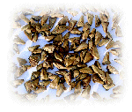 Prepared Seeds Seeds